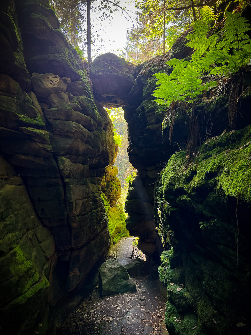 23e0e-ce91a-52924591906-b61b8f415e-o