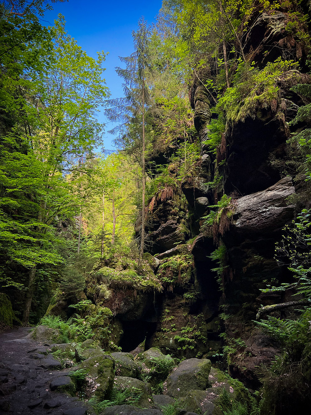 3c5e3-a6918-52924976135-735c7f21dc-o