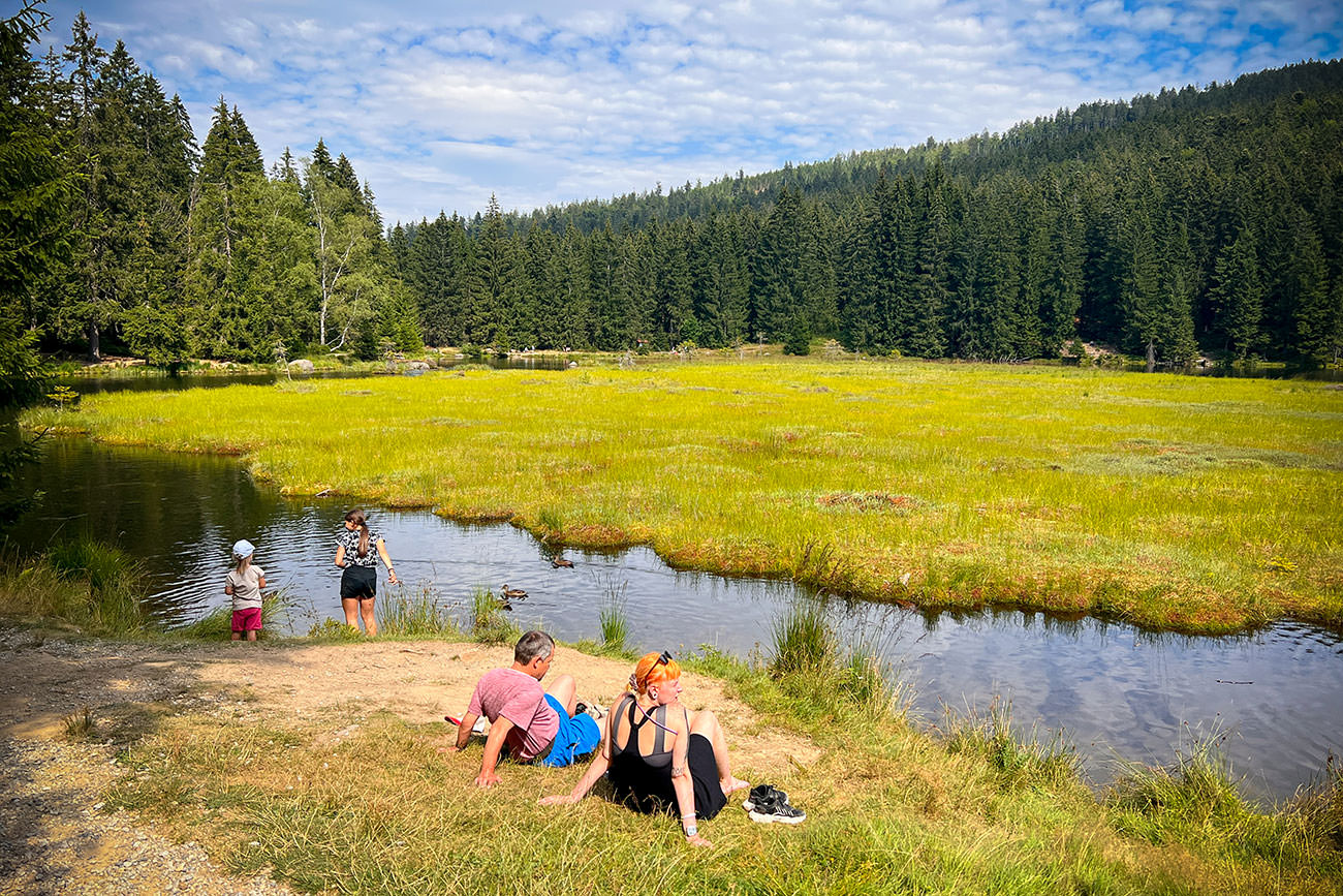 6e567-b824f-52276576229-71a5f019b6-o