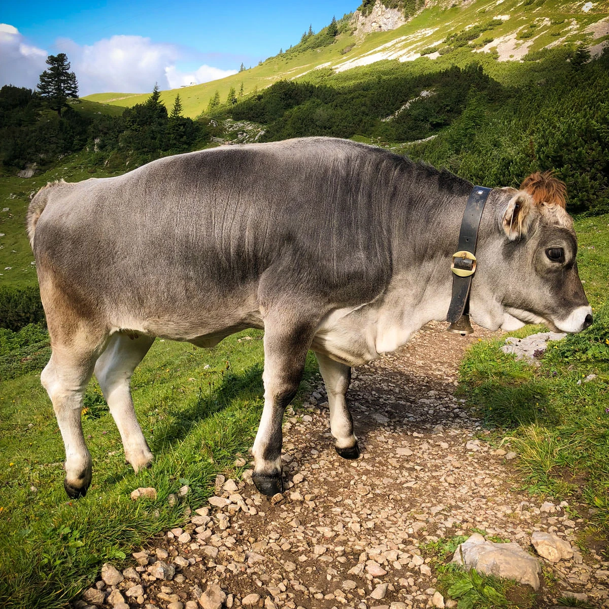 08eb1-842c2-43688537561-0caaee5023-o