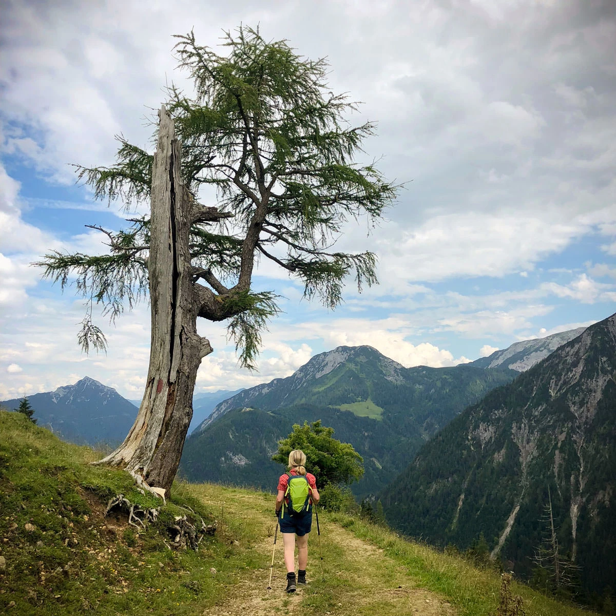 3db75-4db3a-28799623917-9c45343614-o