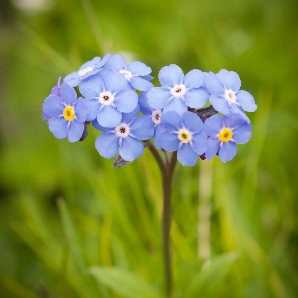 4a018-cc62b-43688538911-4aa8fce29b-o