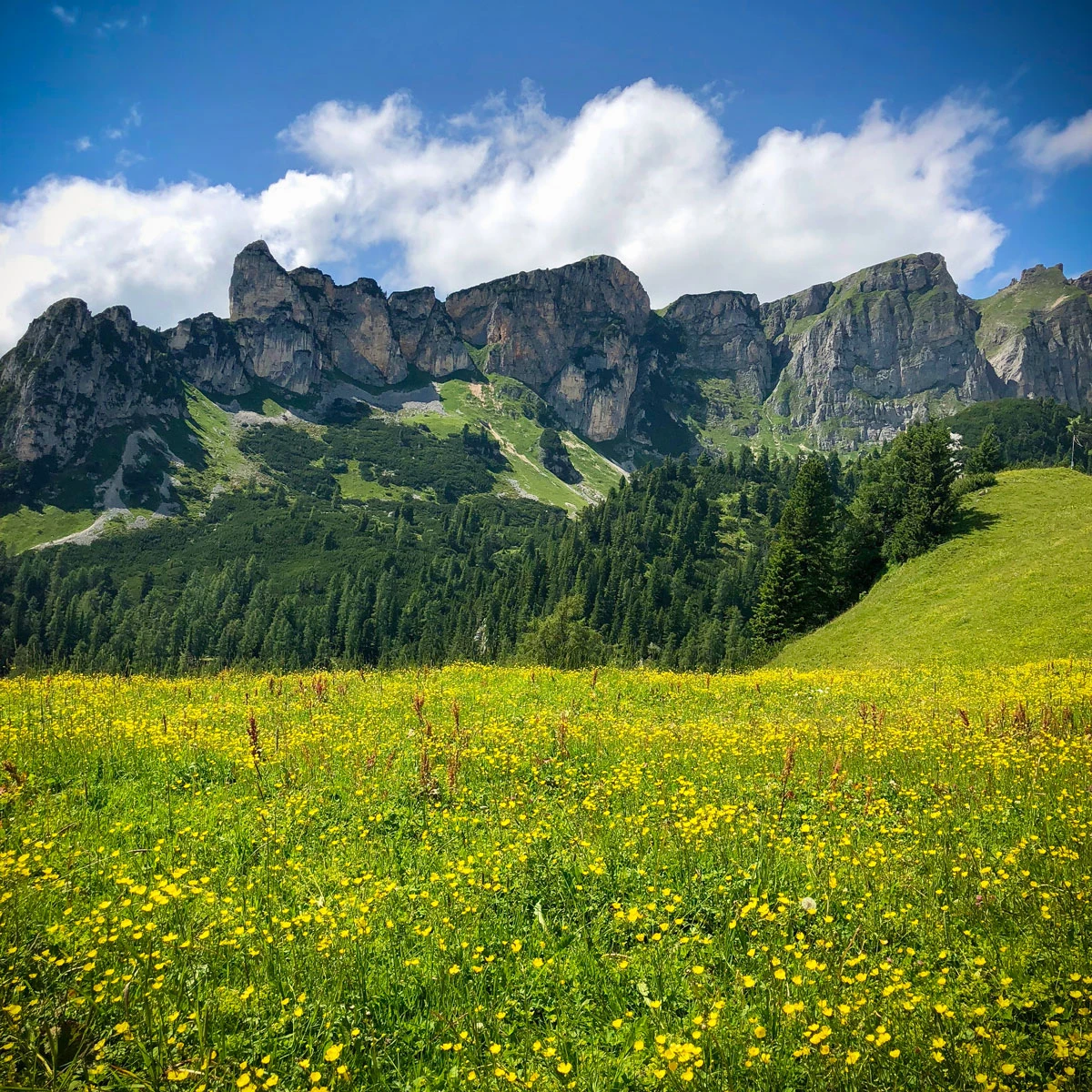 52701-027ec-42785822015-f5dea1ec77-o