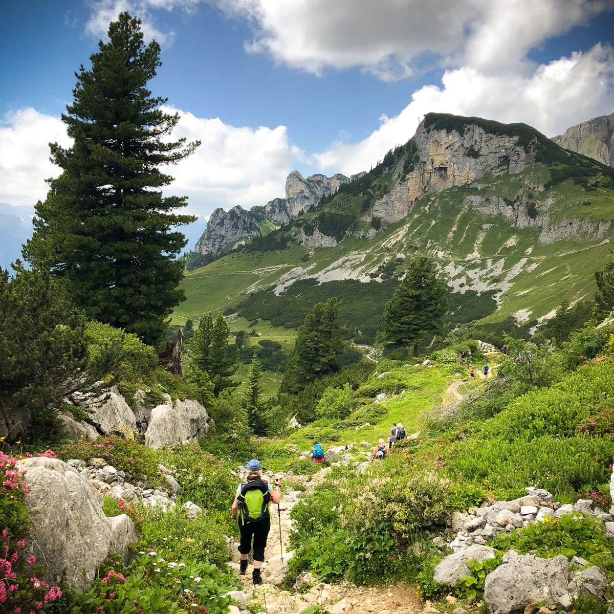 77946-7a2cf-43688538031-cc05d048d3-o