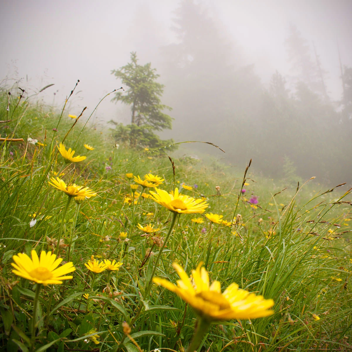 9fc1a-1f083-43688537841-42b0a3fdea-o