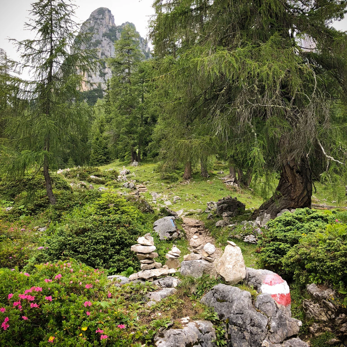 aa128-87983-43688538601-444db7254b-o