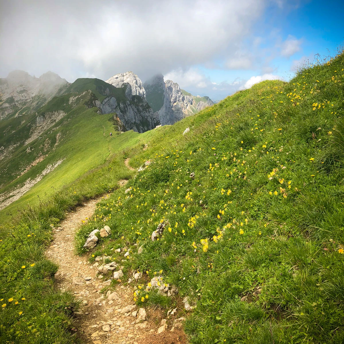 b1eb6-31e1d-43641986732-c3505525e6-o