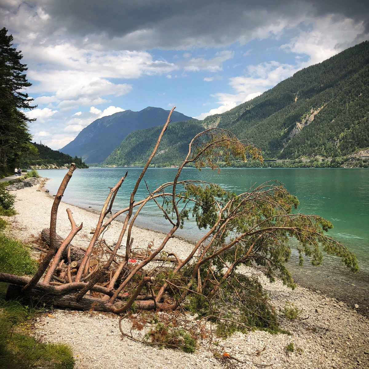 cbe44-cd8d6-43688537061-5d98935905-o