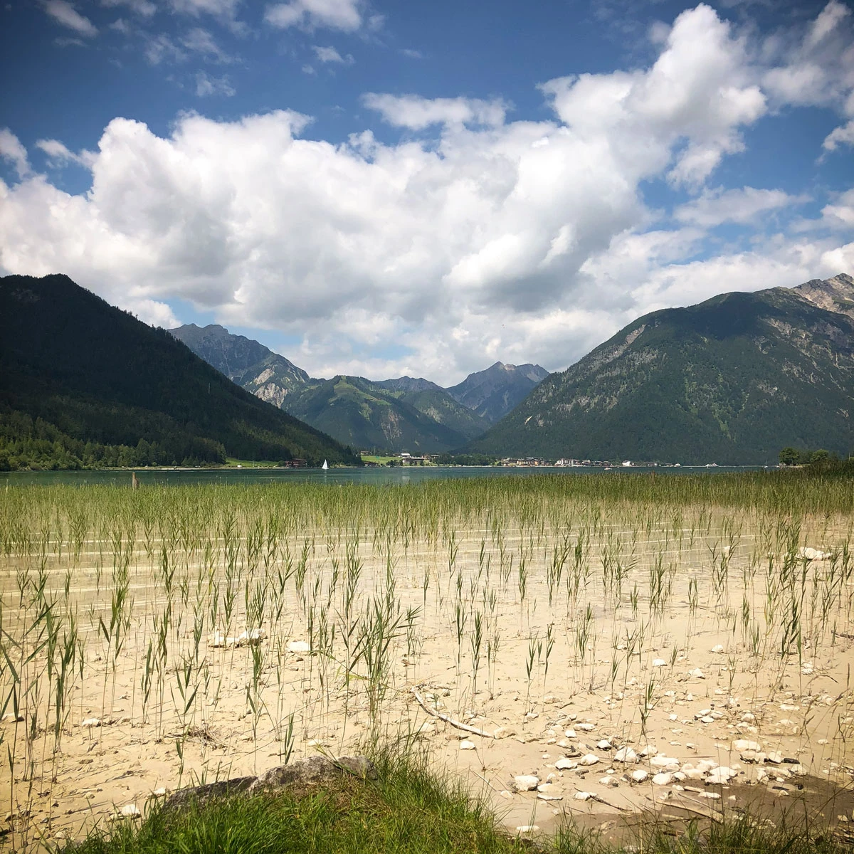 ce44c-4964e-43641986812-53d18b2463-o