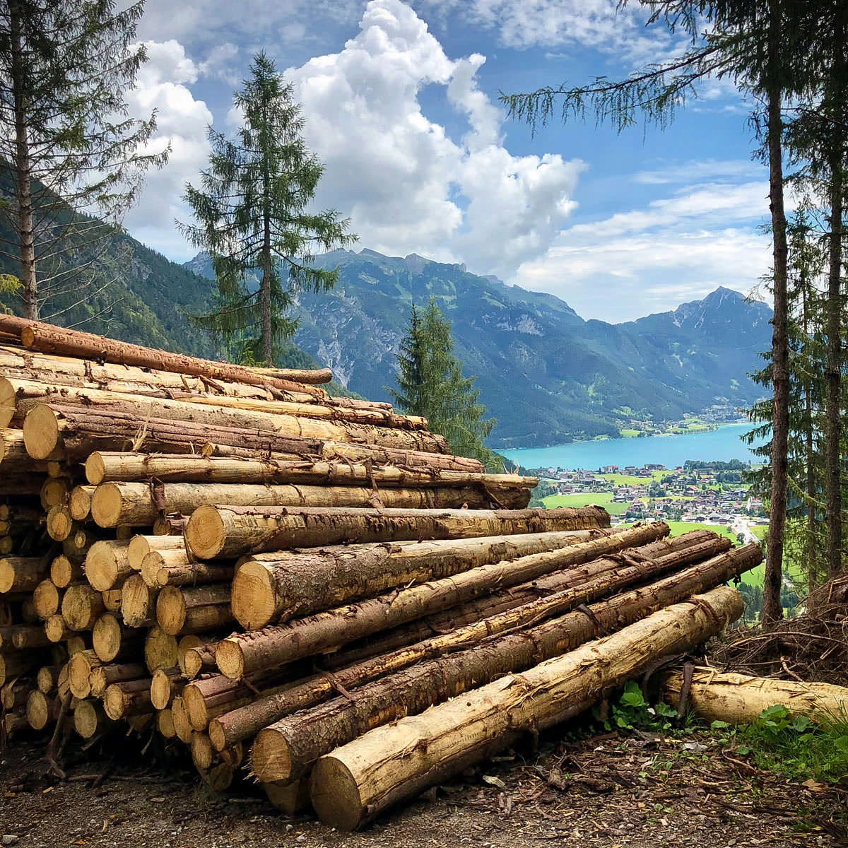 cf663-56643-43774617152-09e8c04501-o