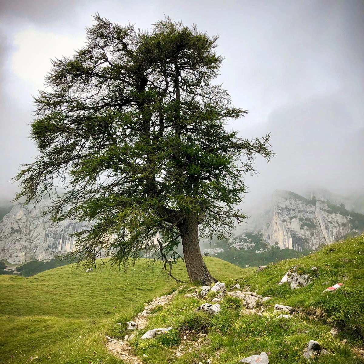 e6f44-81585-42785821915-f44913f94e-o