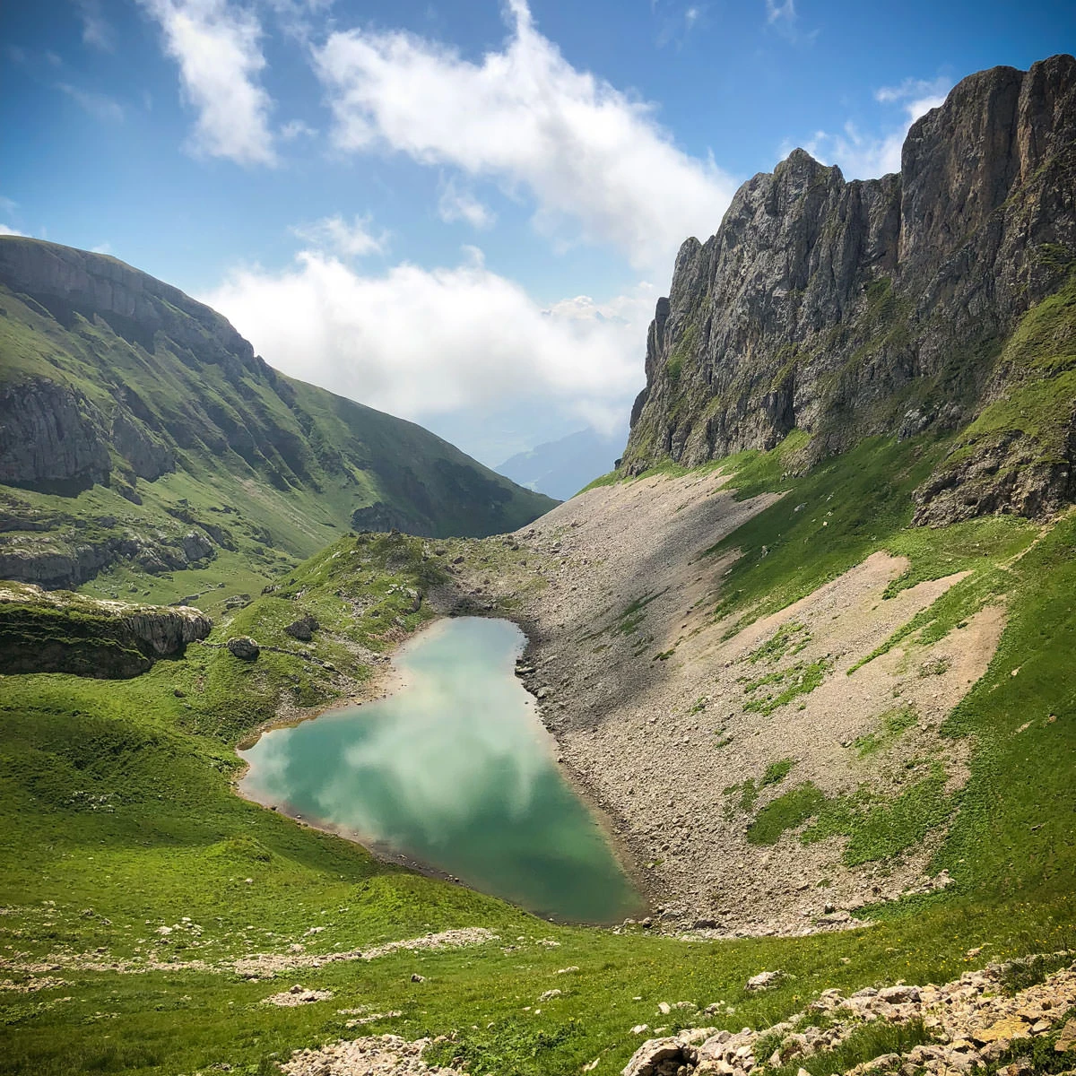 ed45c-c98f6-43688536801-56548e4203-o