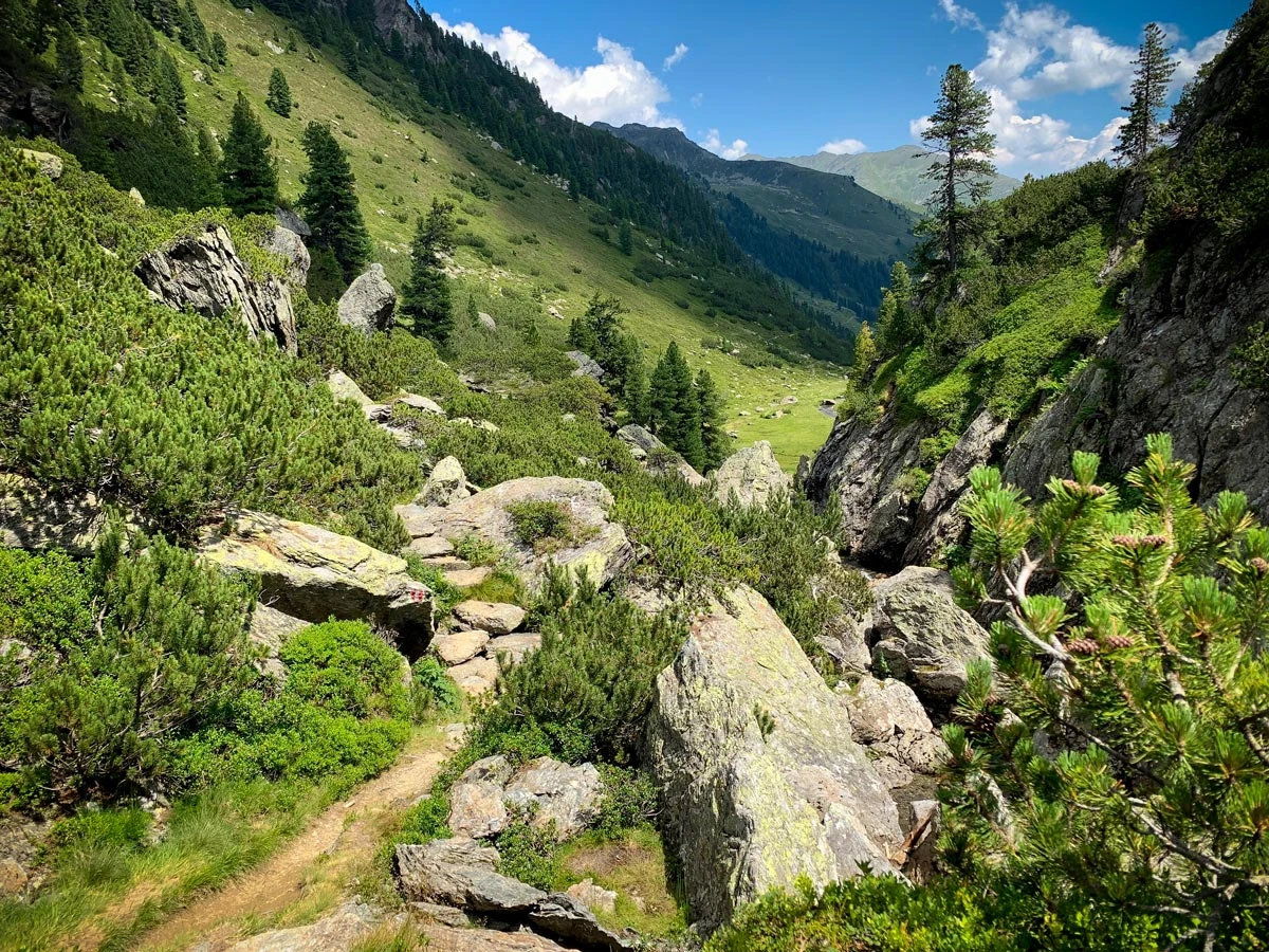 4bc44-c6f35-50204894076-8c3997d488-o