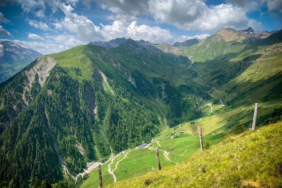 ba896-d9f43-50204364053-6cd238a7fa-o