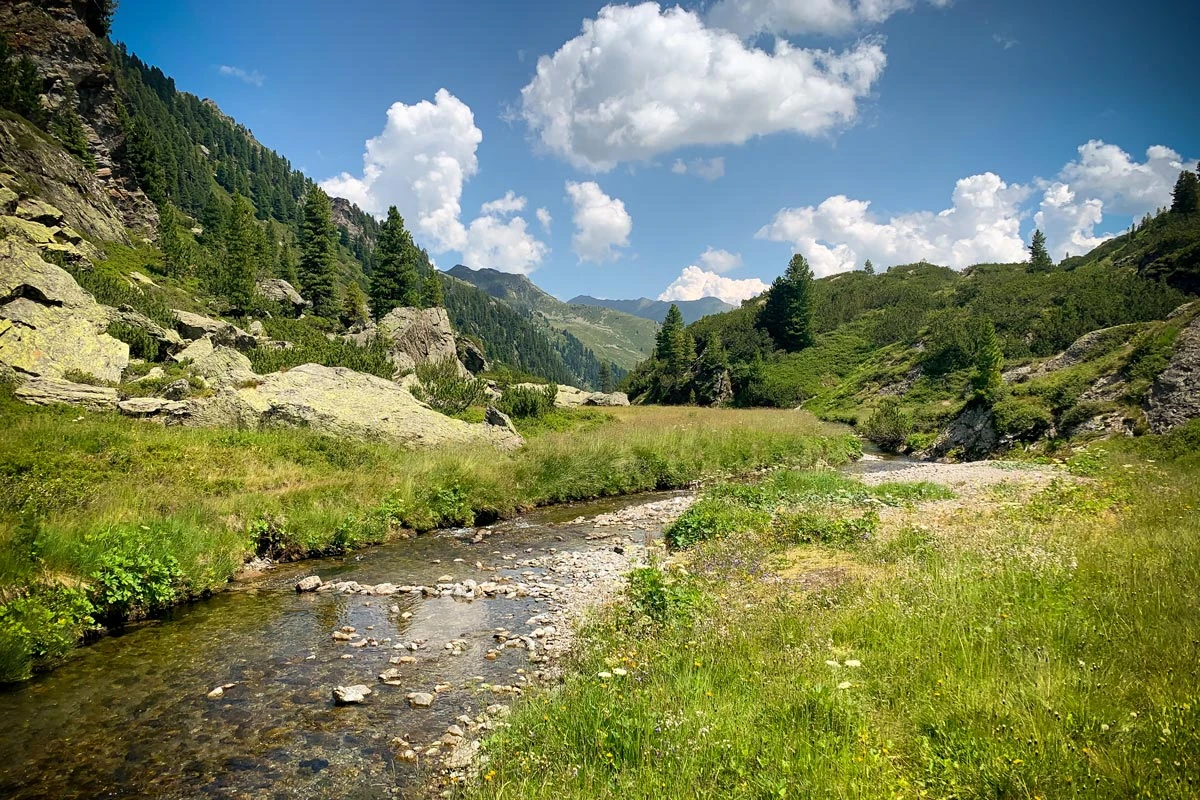 cbce3-bb300-50204893946-b08cc661e2-o