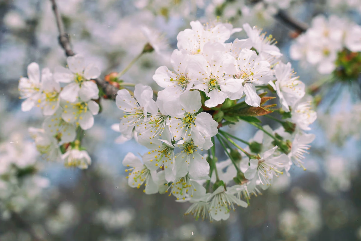 411bf-4c830-46860625724-510857eaac-o