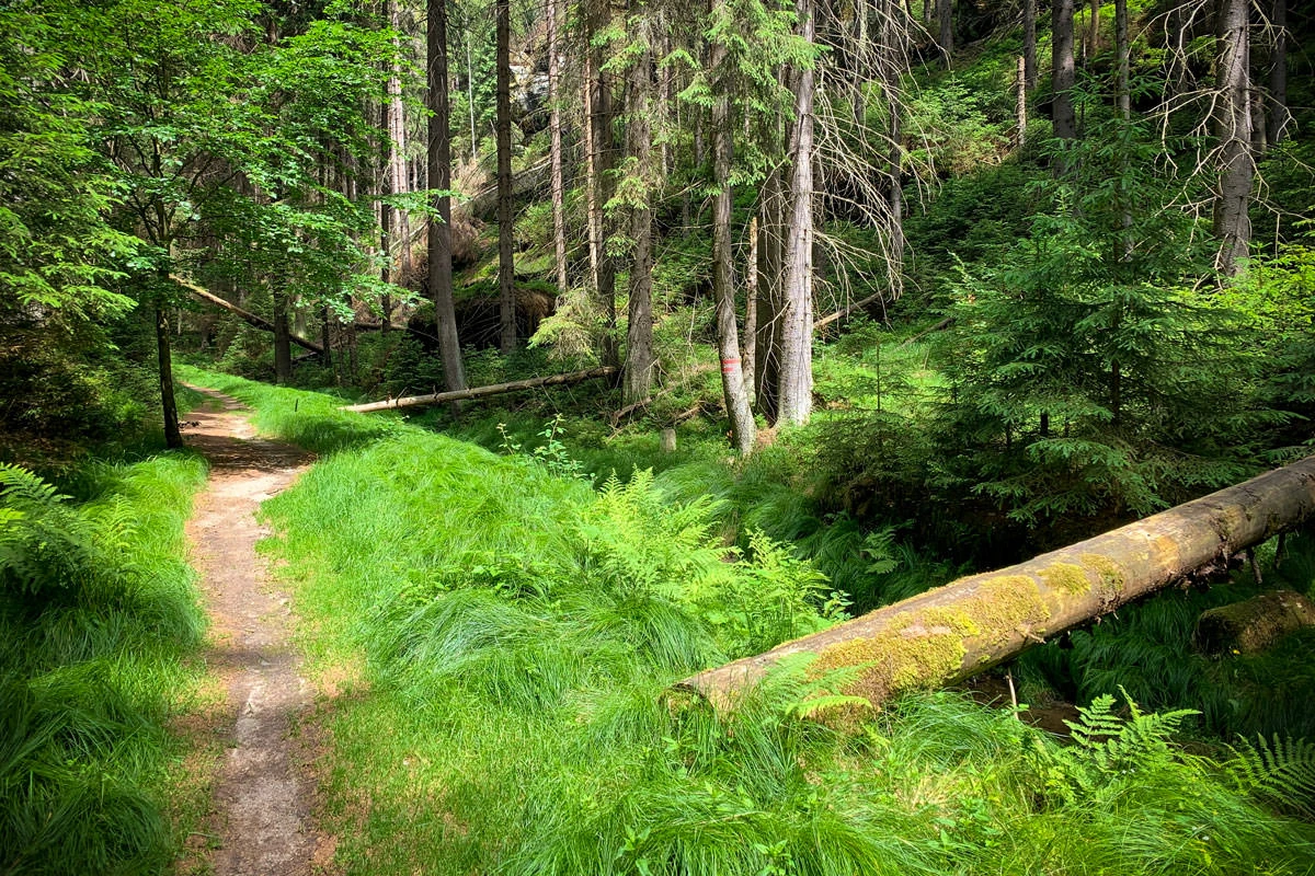 76807-01f52-48073061943-1c379682b7-o