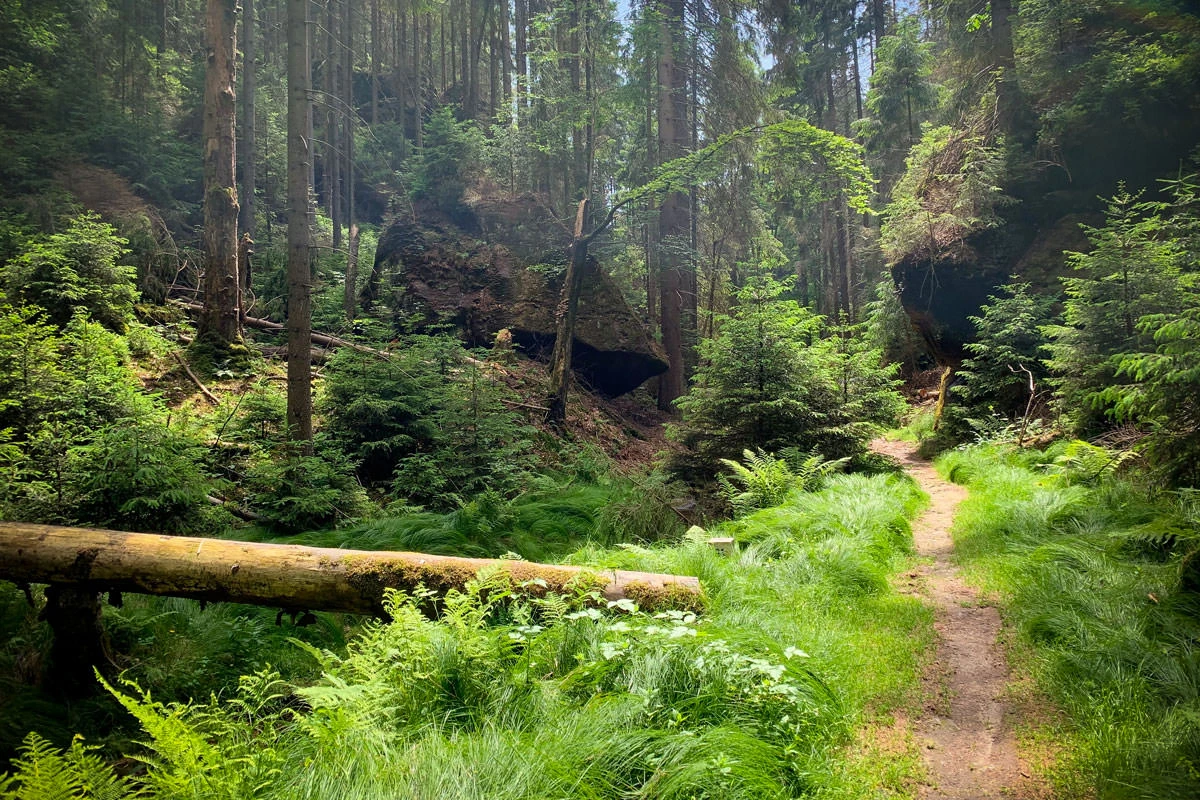 d9442-f4809-48073013236-e46b2b1067-o