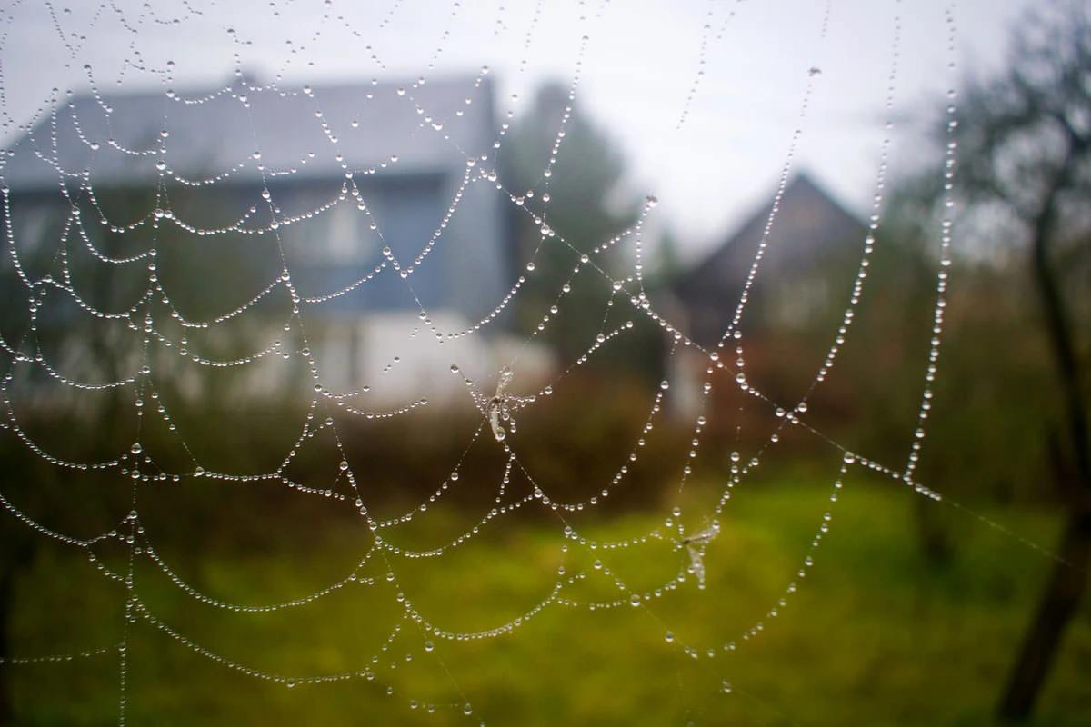 69b27-63f26-49110277413-57d0b69288-o