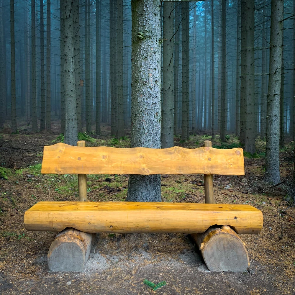 e2194-6a2ed-49109479017-c6b32df366-o