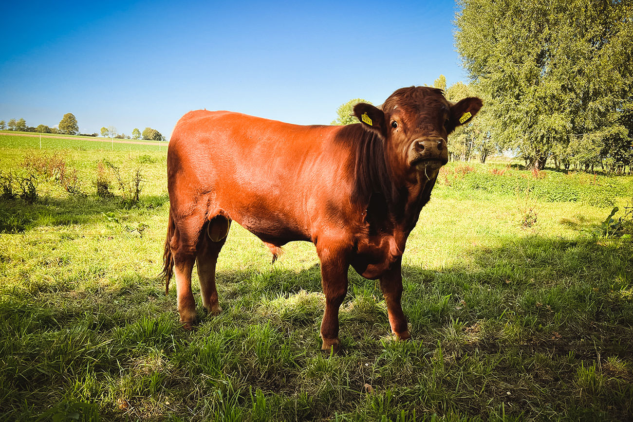 de6dc-99e15-52417271314-839965c50d-o