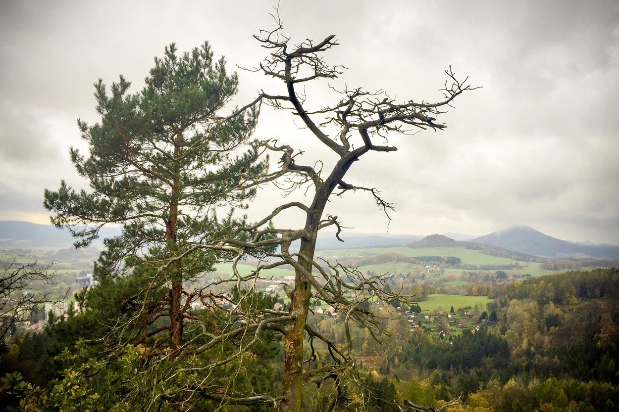 63107-994ad-38040803676-9523ebc184-o