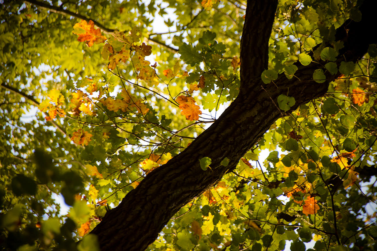 6bb3d-da297-52408252002-ca831337ca-o