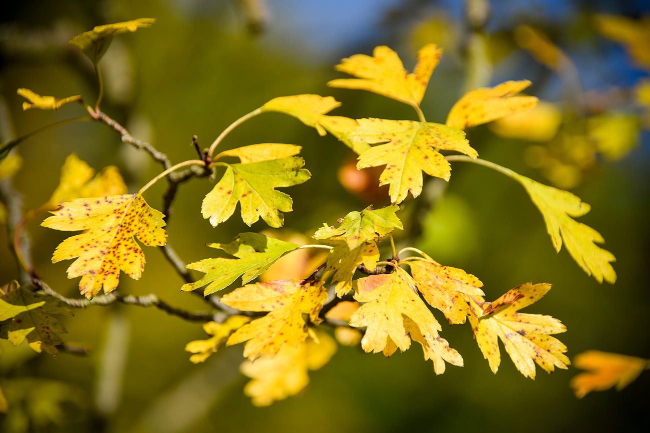 a4ab0-04bd8-52408749566-e187fc1ffe-o