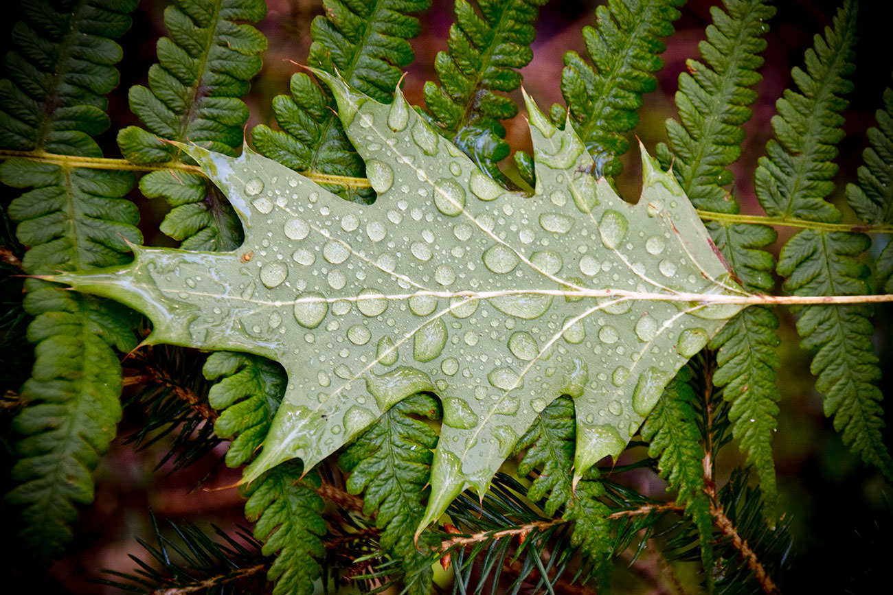 eed18-85a02-52409196565-b81bb07880-o