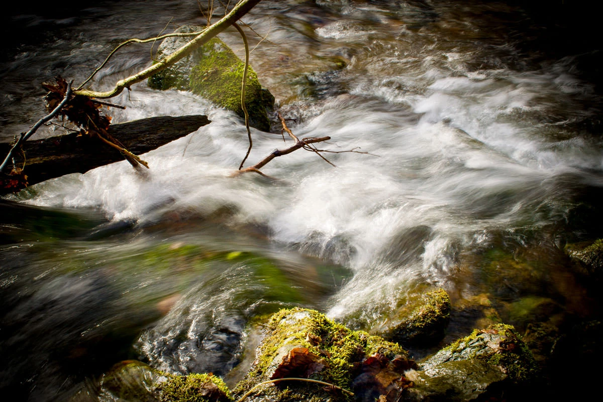 c05cc-34d79-49556040666-3d323b75d5-o