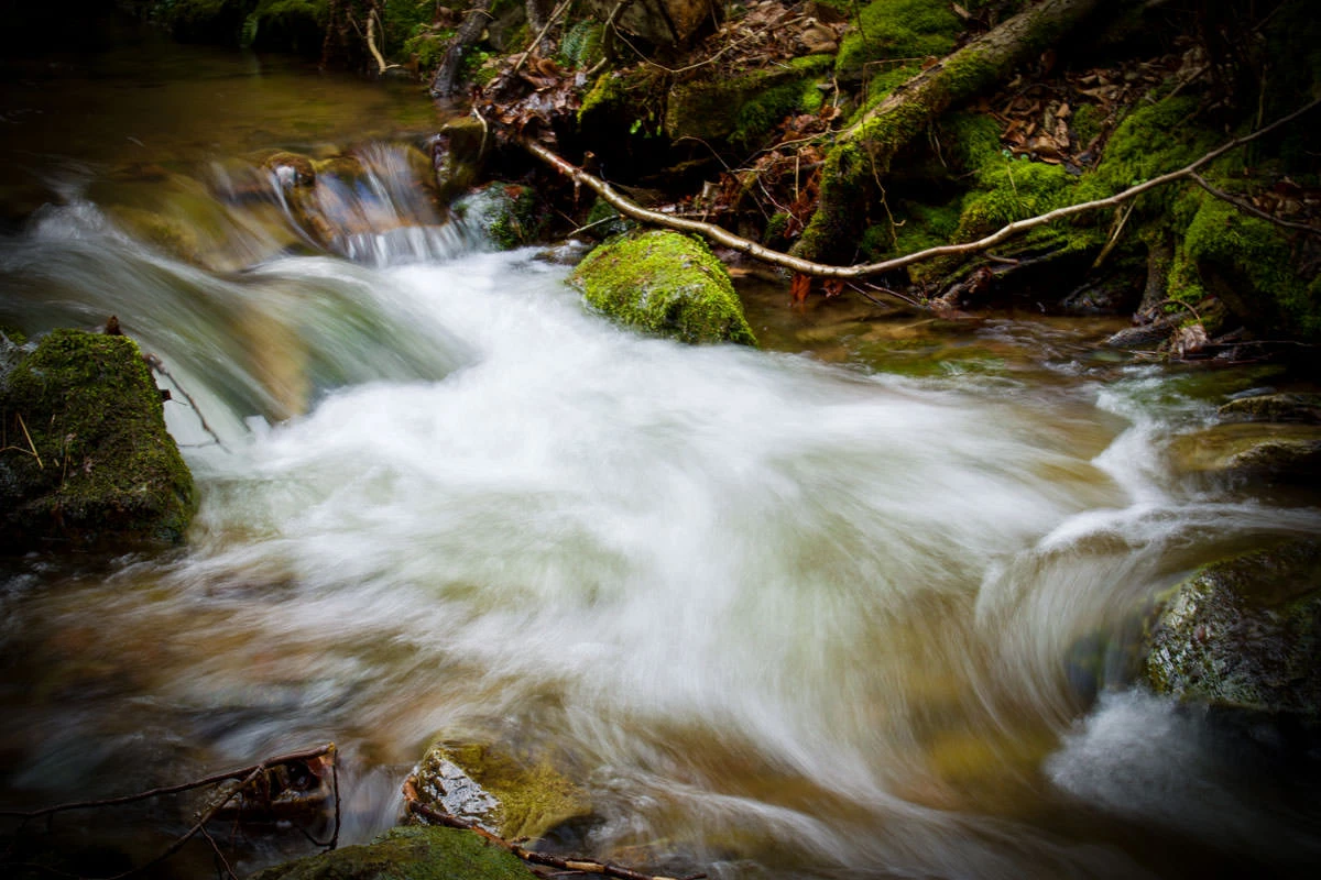 c0f7d-77705-49556275742-b1f11934e8-o