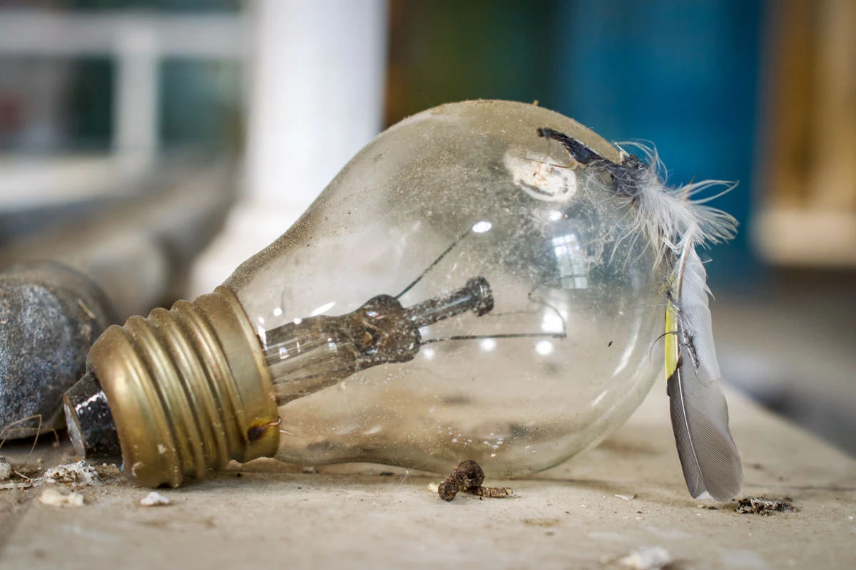 e17a3-c8f64-48704366331-7a884f9e0e-o