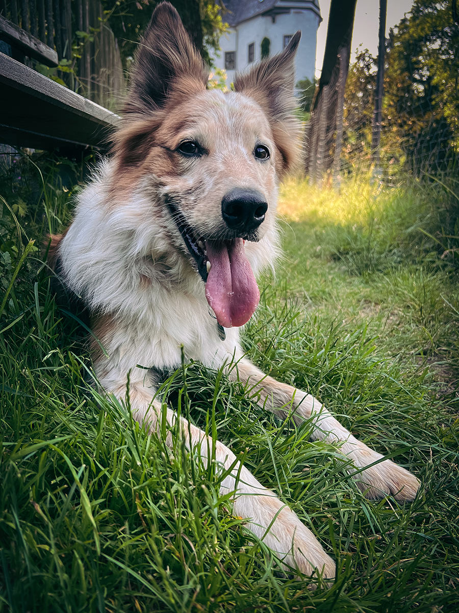 a354d-caeb8-53035638297-4b1bb7f0fb-o