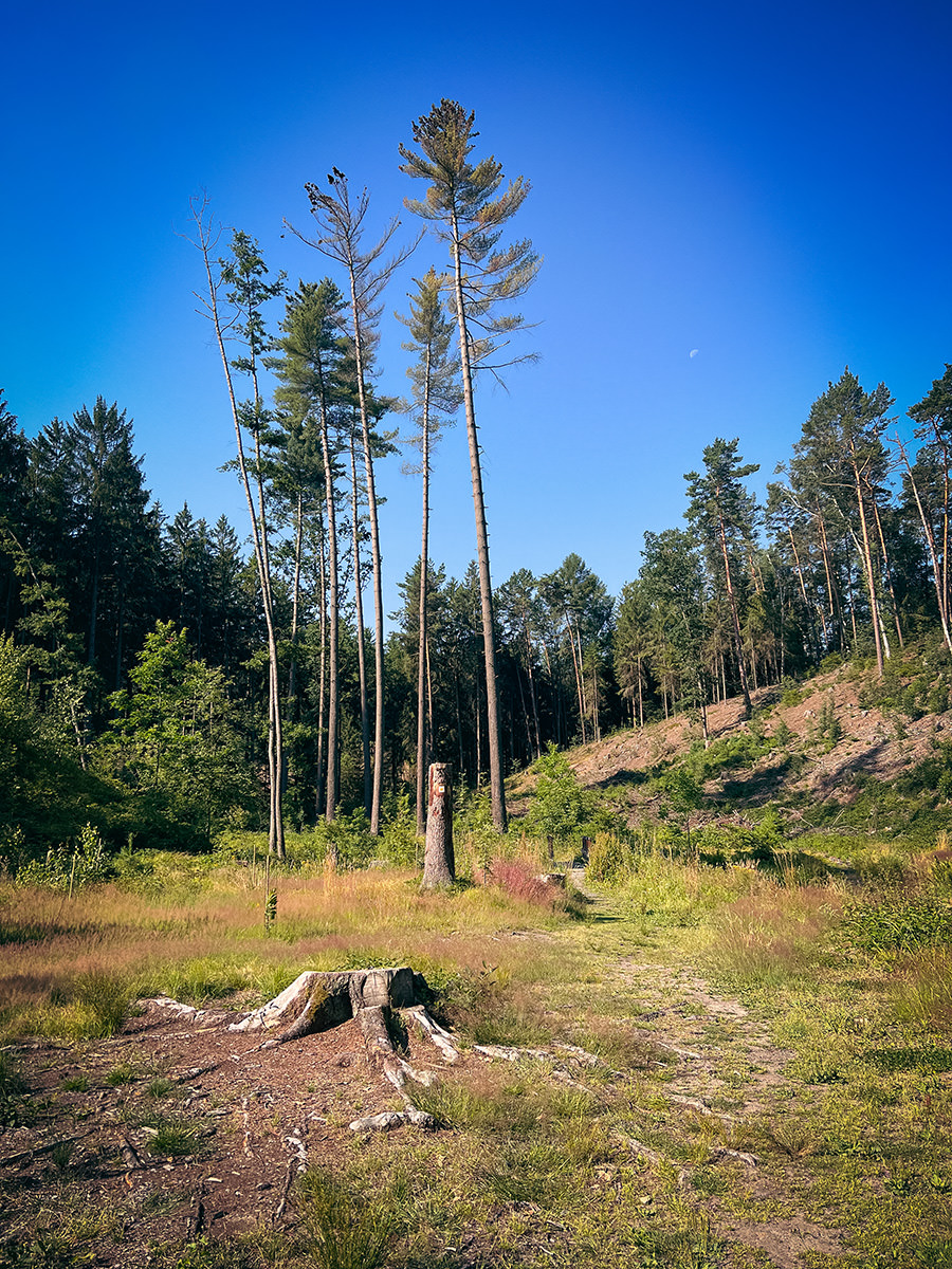 f0496-b95a8-53036697123-2f948af9db-o