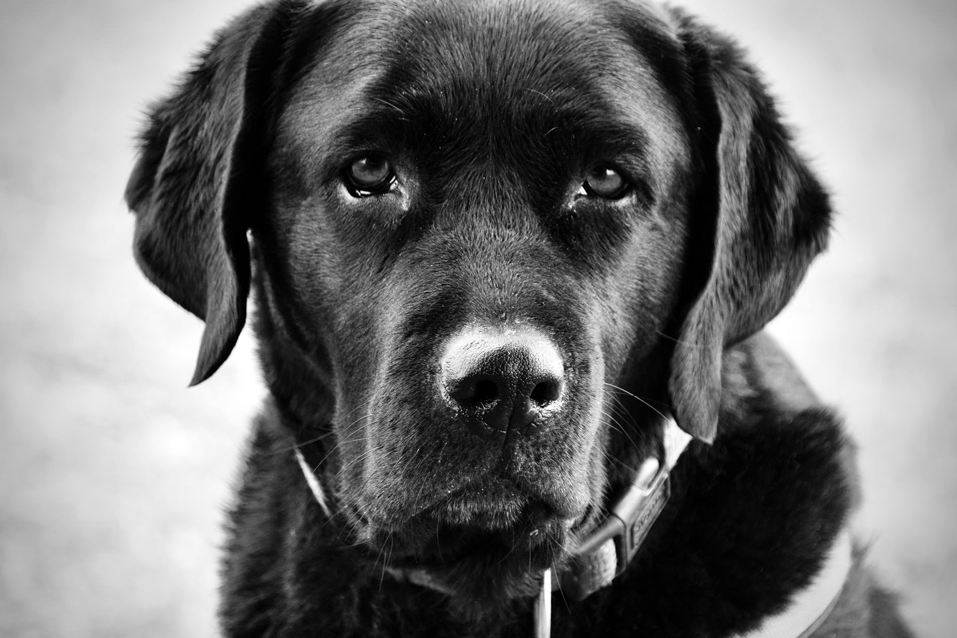 86599-8f3c1-52007419892-9e50cfd0ec-o