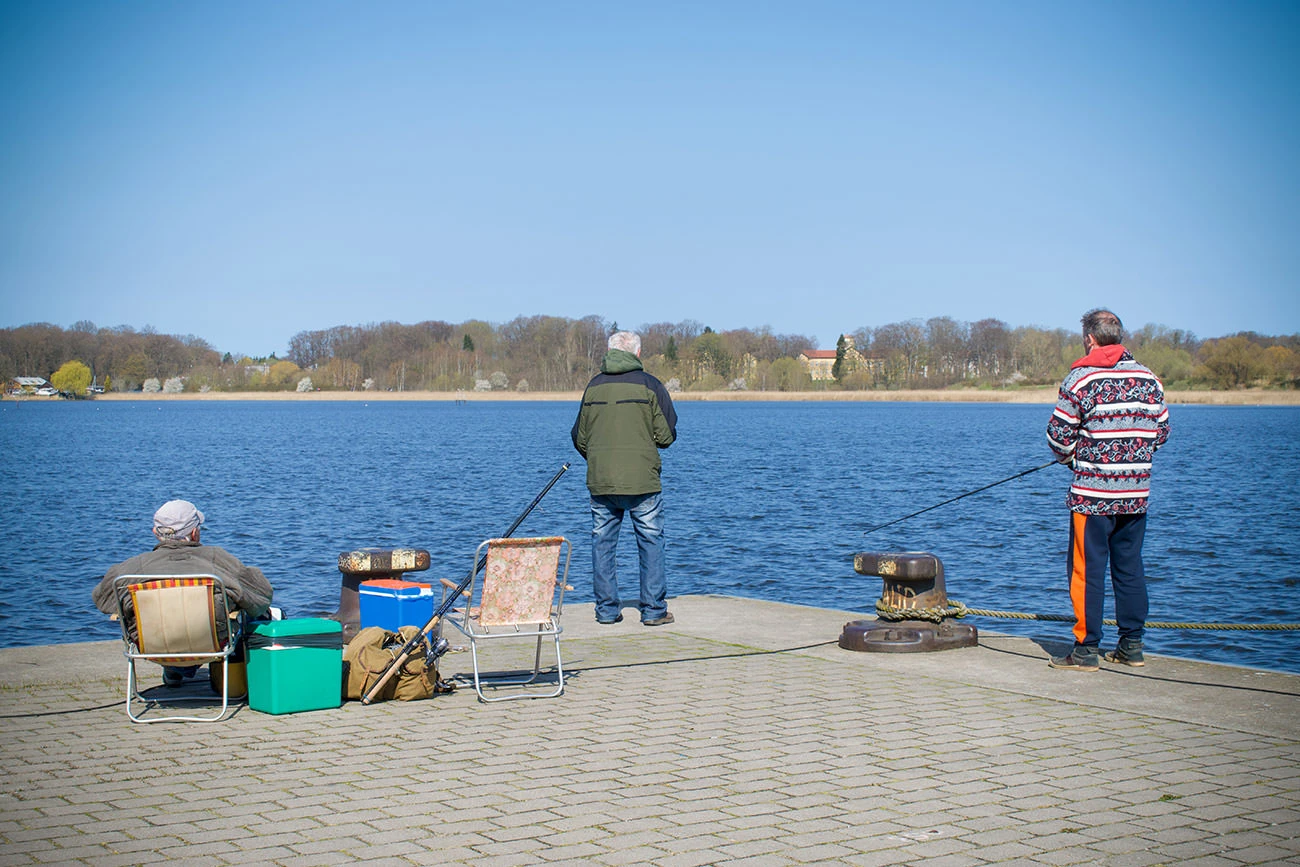 5f482-20504-51127102259-978d5ceefa-o