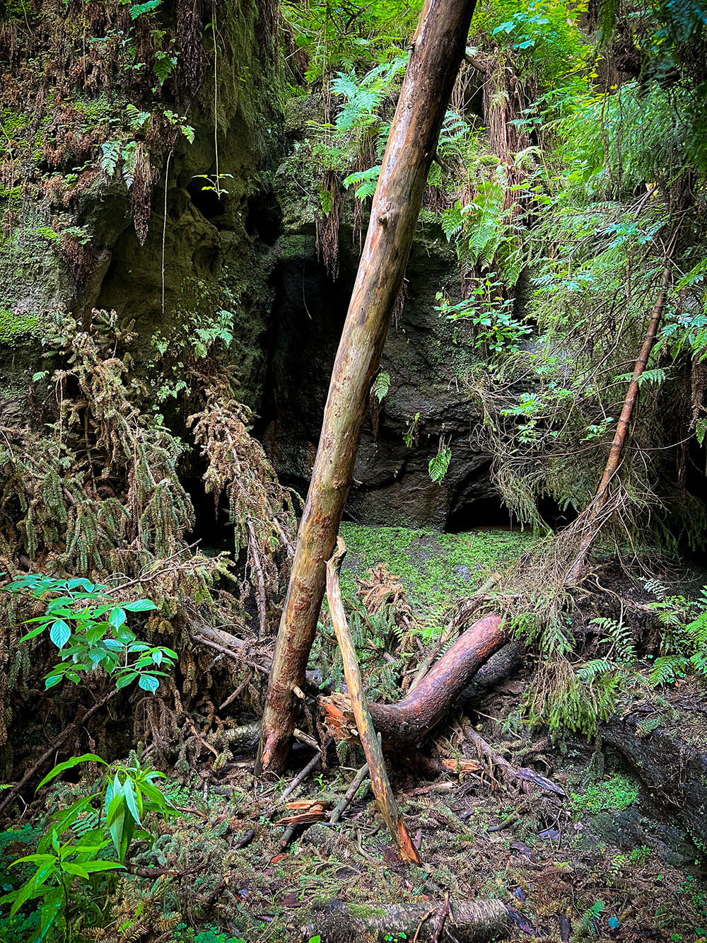 475a0-fbe57-52177178121-0e55afa00e-o