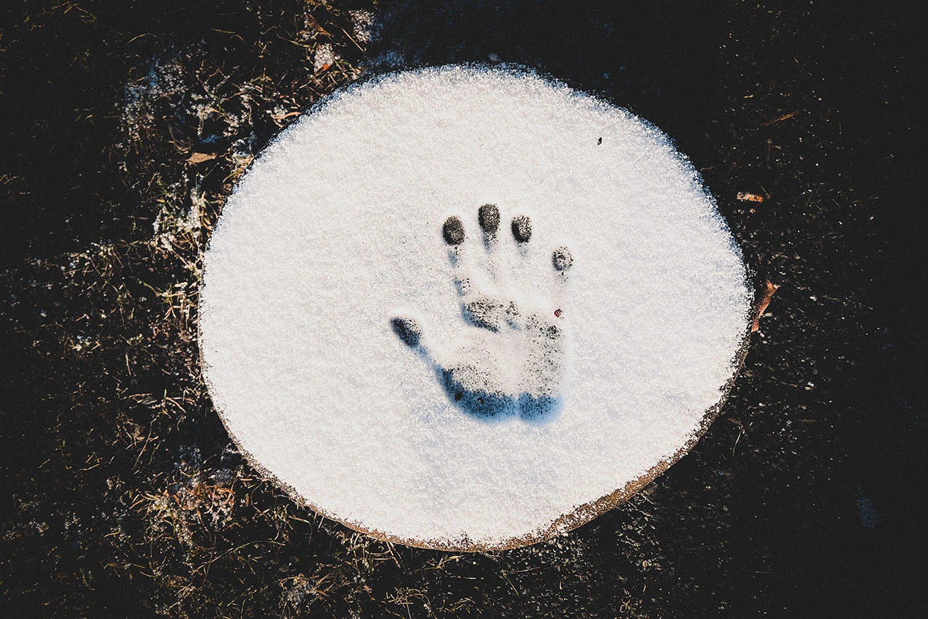 1e57e-7cfb4-51807222351-a428355d7d-o