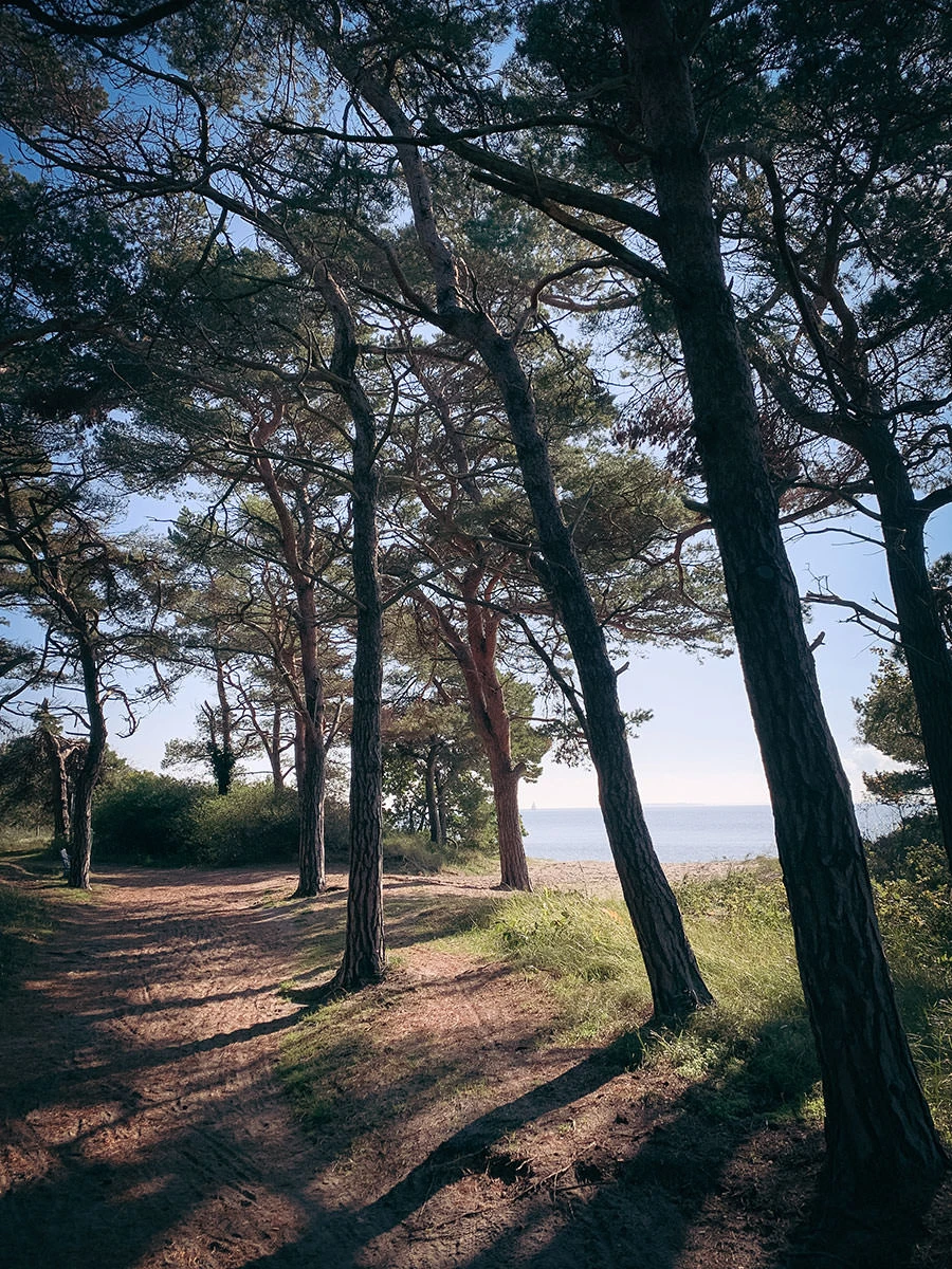 15e7e-ff1bb-51575285992-17dff599f5-o