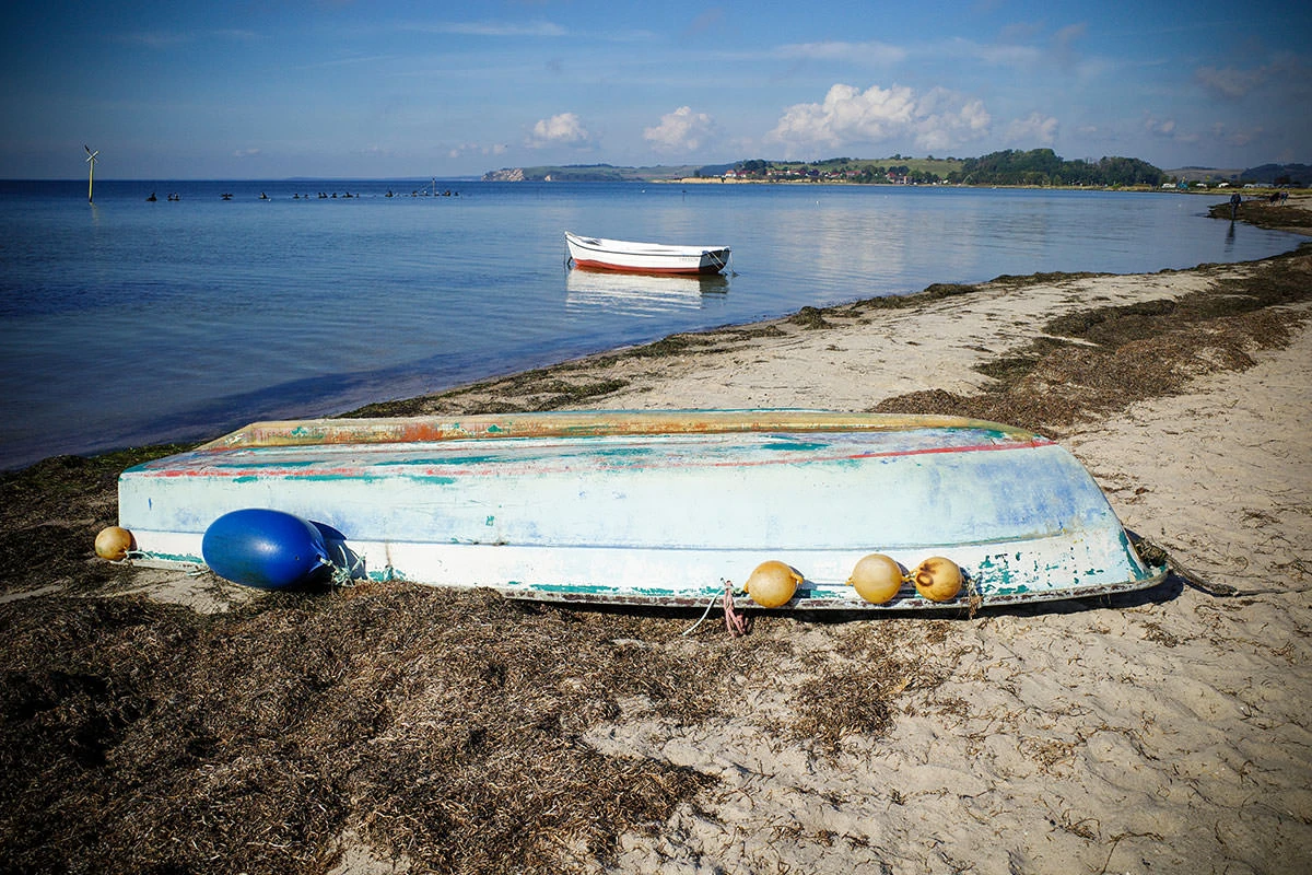 2c372-ee259-51576333573-664e862f46-o