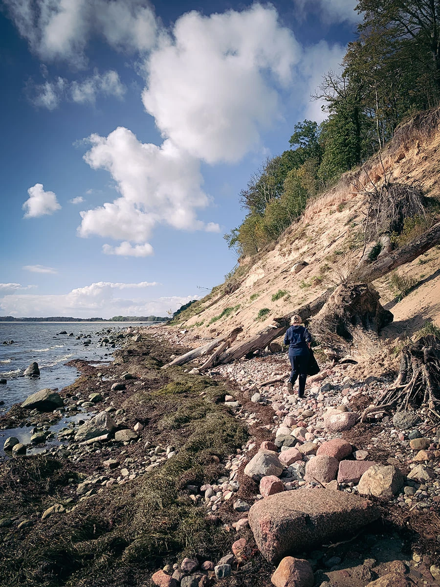 983ac-46ebd-51576333768-7fce6d2b2b-o