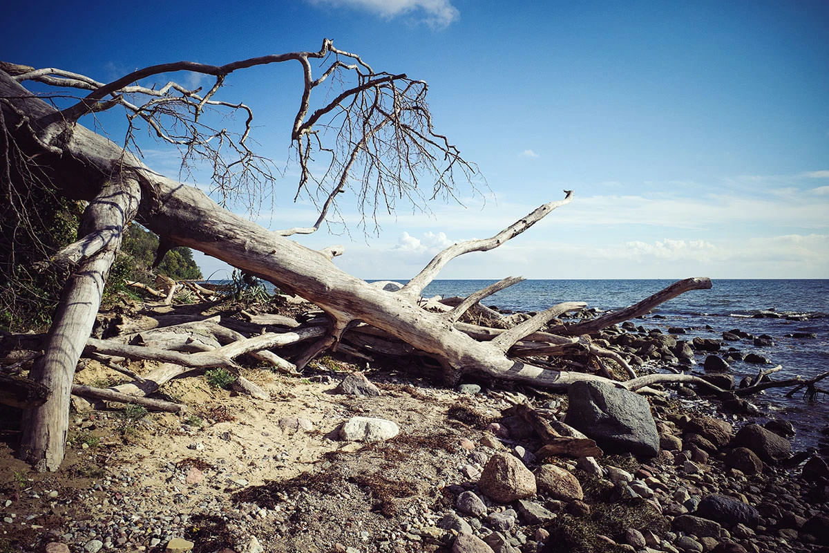 a39eb-060eb-51575285877-8e07742cb7-o