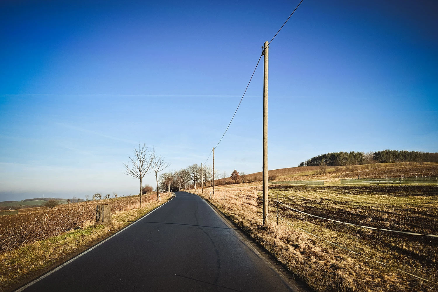 96ed8-bbfd2-51831535586-8e1fe6304d-o