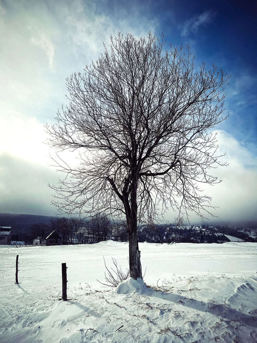 20a08-9e39d-51811720761-14df31292b-o