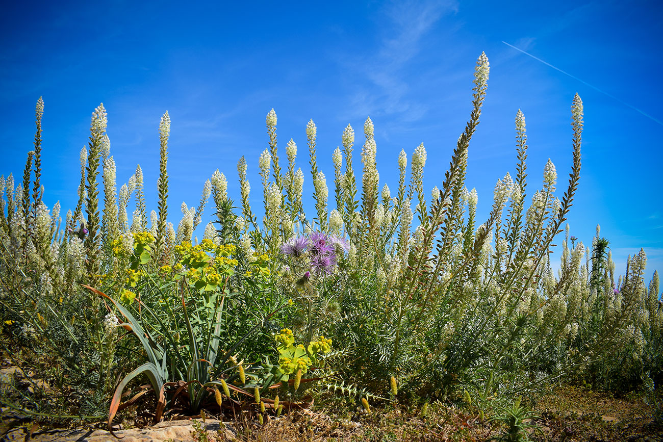 6de01-27aac-52887894852-2a35040890-o