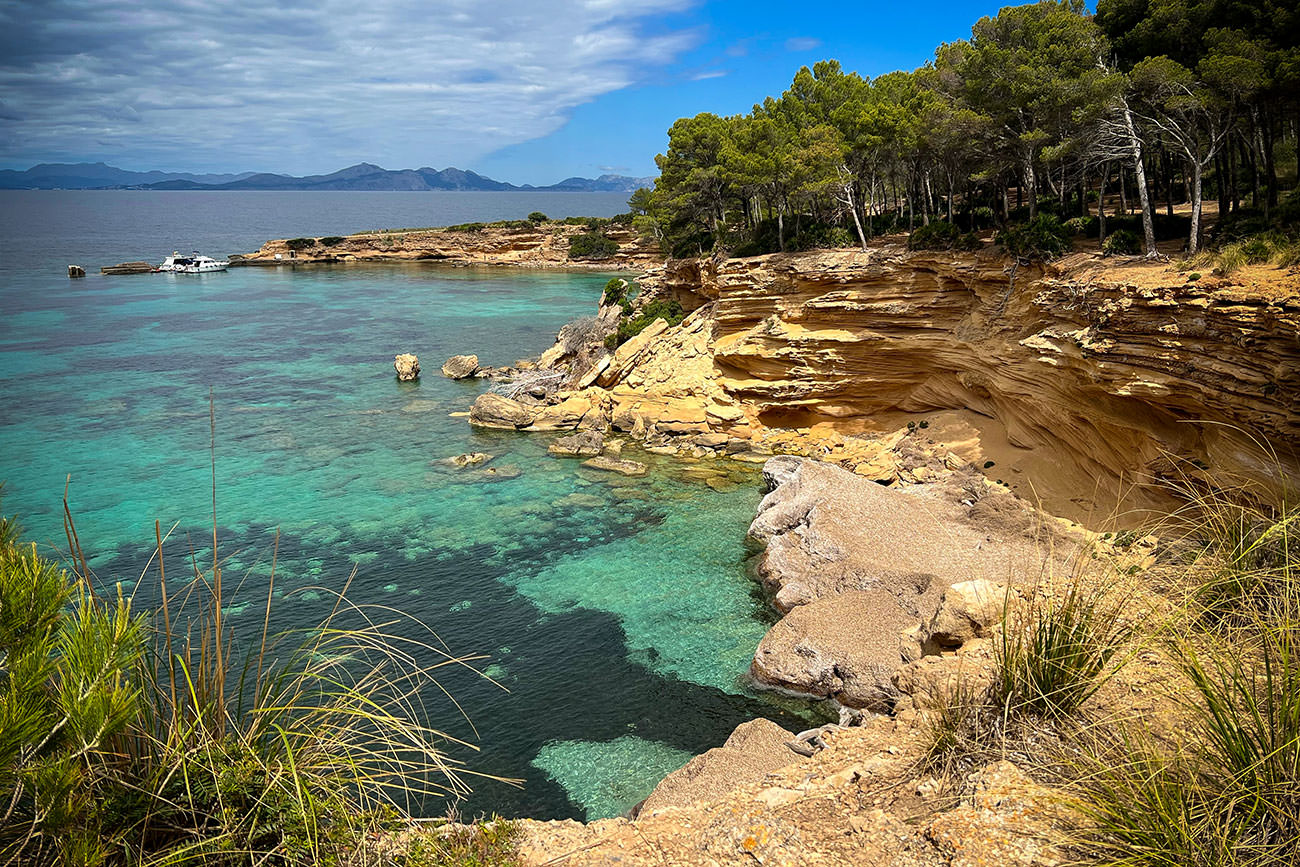 c1c11-67c7d-52887894892-f55584e286-o