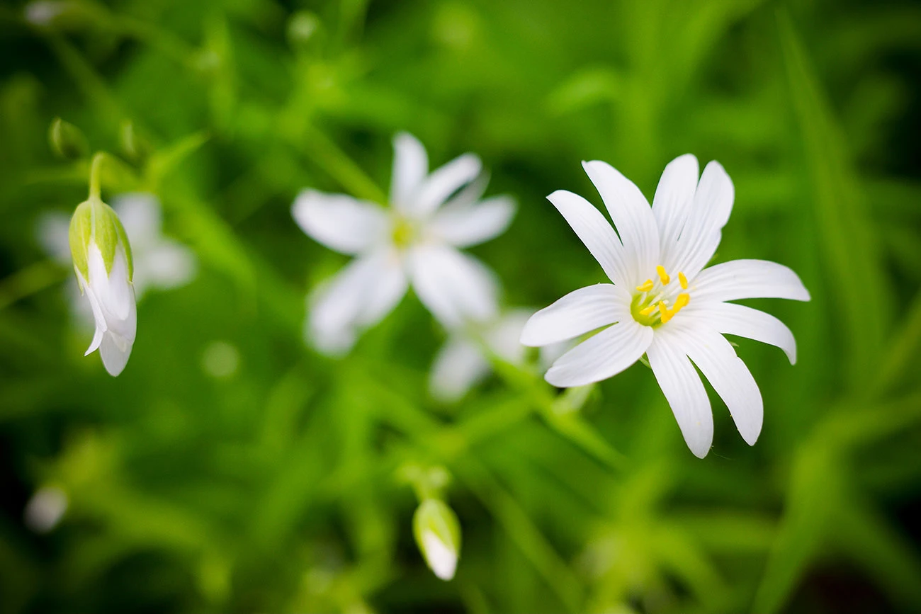 318a9-2f32a-51188022829-88e89cc2b8-o