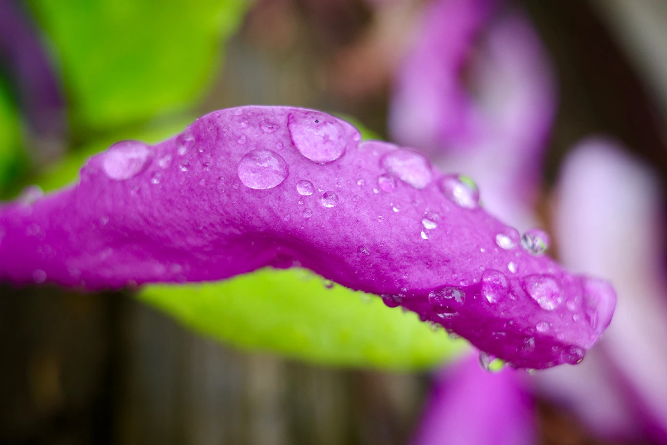 7c9bb-c1ff2-51187465638-89797cd882-o