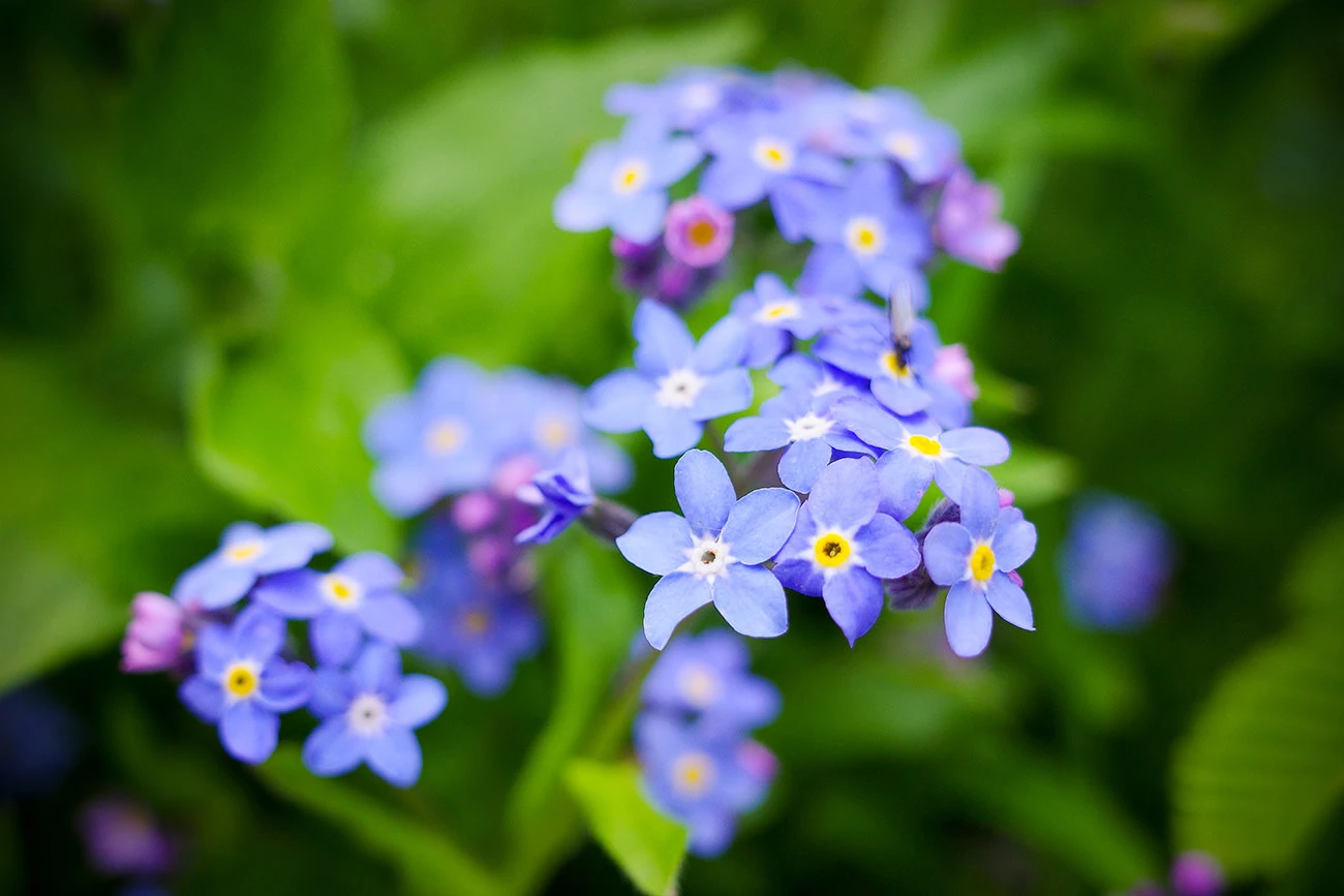 91a96-e7b9c-51187465528-e89192e704-o