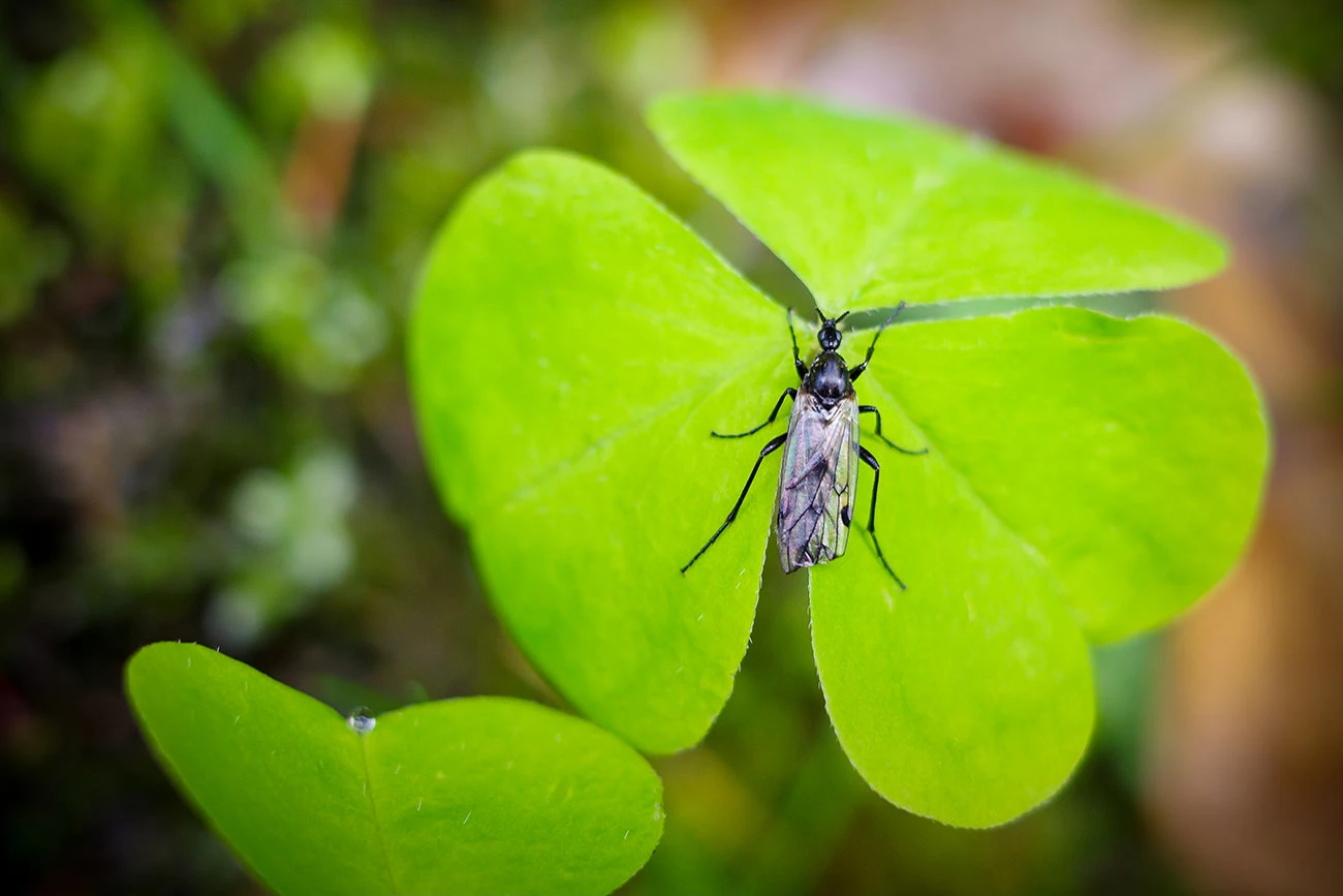 ab99e-5ff6a-51186548682-b44d9af136-o